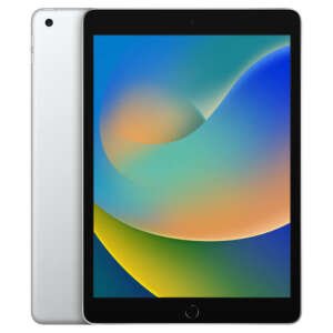 iPad (9th gen)
