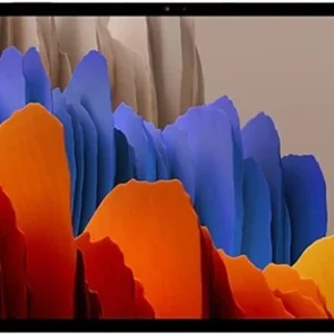 Galaxy Tab S7 Plus (SM-T970)