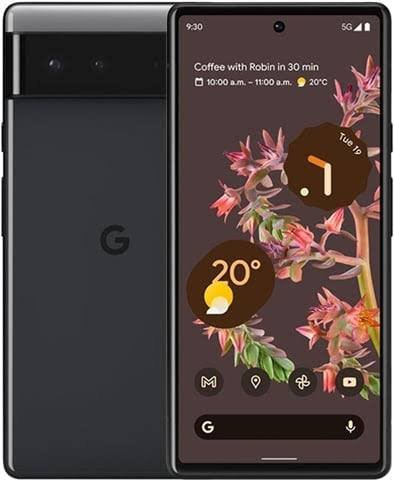 Google Pixel 6 (GB7N6)